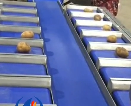 土豆配重機(jī)
